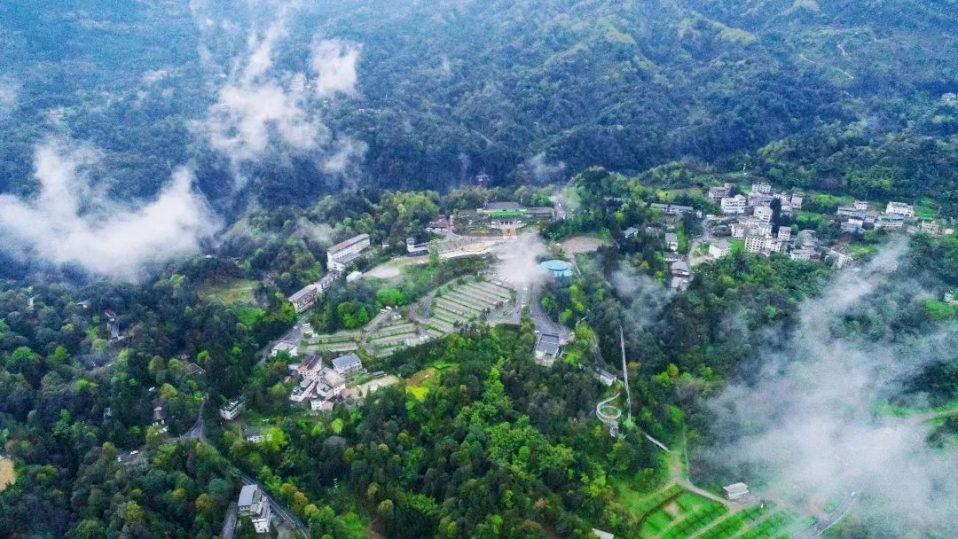 1690423136248507PjdR.jpg 1690423136248507PjdR.jpg