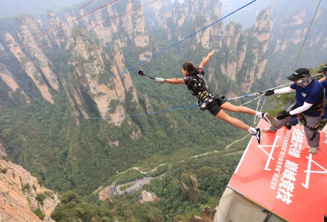 1699608227231300pDnC.jpg 1699608227231300pDnC.jpg