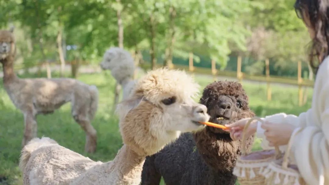 1707184592758417FzKU.jpg 5.jpg