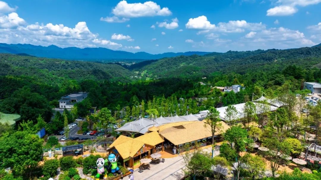 1731911839734919jNhf.jpg 1731911839734919jNhf.jpg