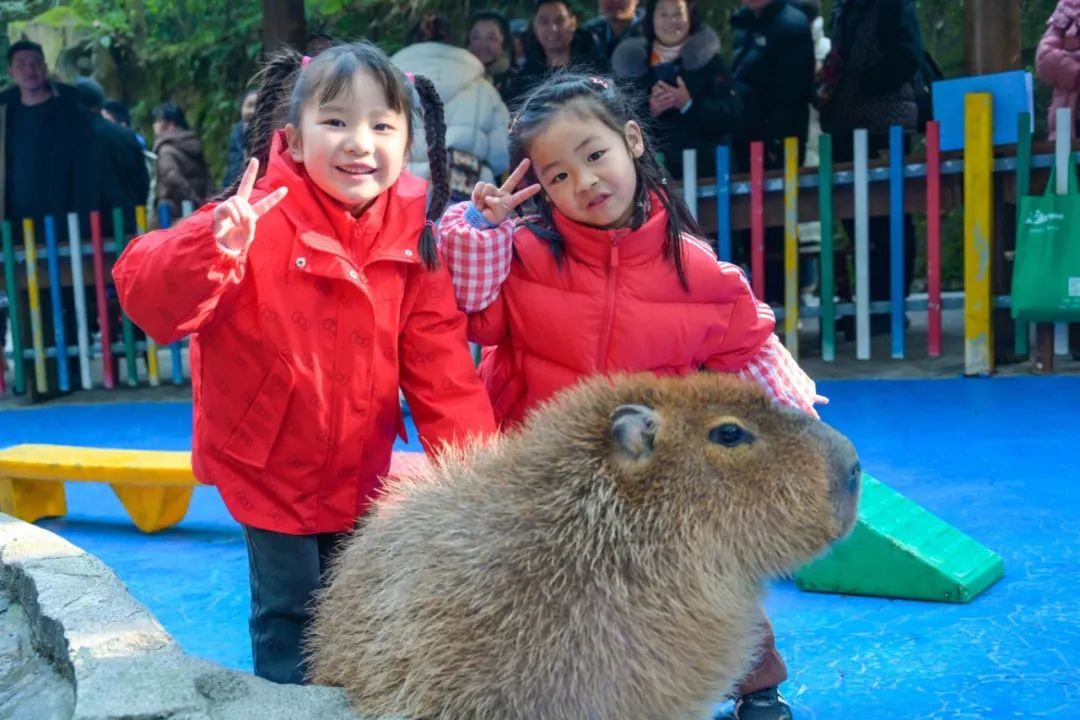 17388234667658735qy4.jpg 17388234667658735qy4.jpg