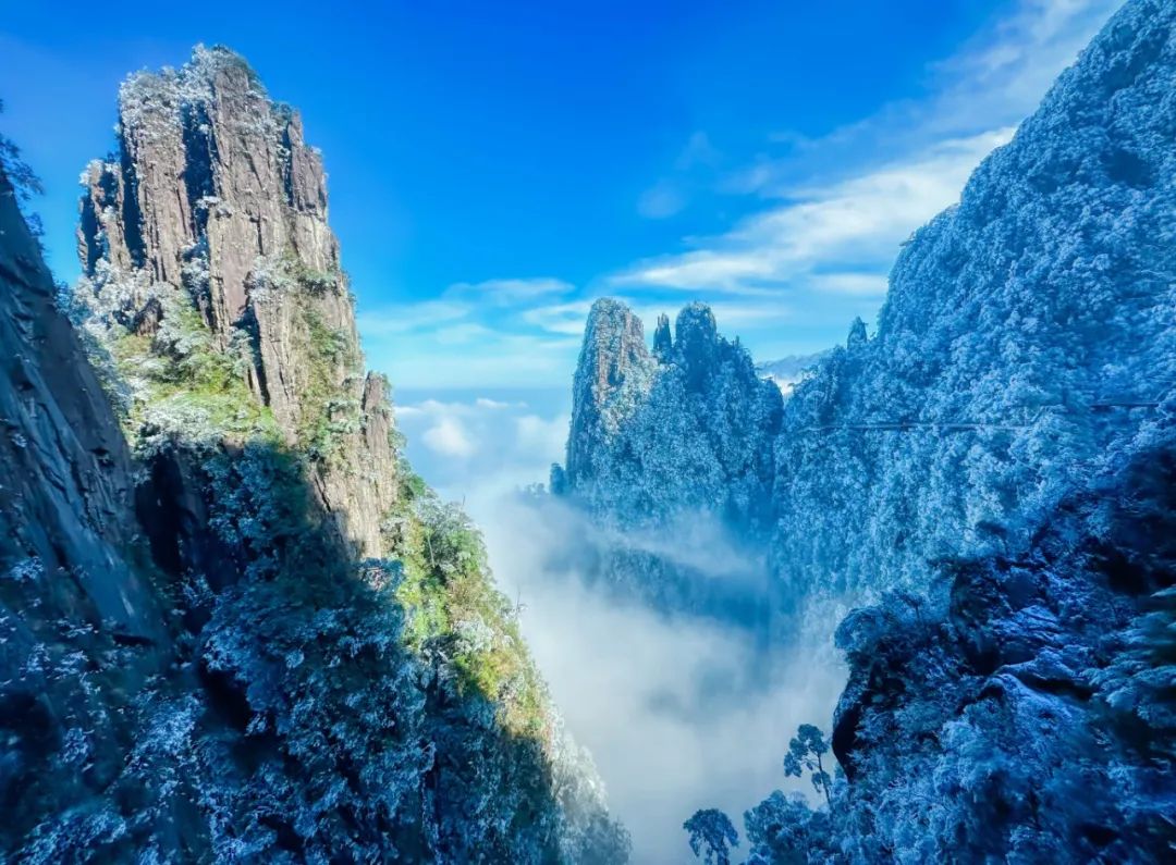 1738829336574112sMqZ.jpg 總結9.jpg